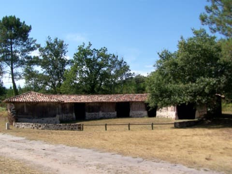 Élagueur Goualade